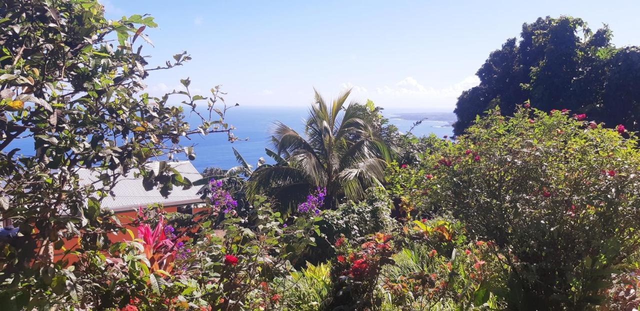 "Sunrise Inn" Nature Island Dominica Penville Eksteriør bilde