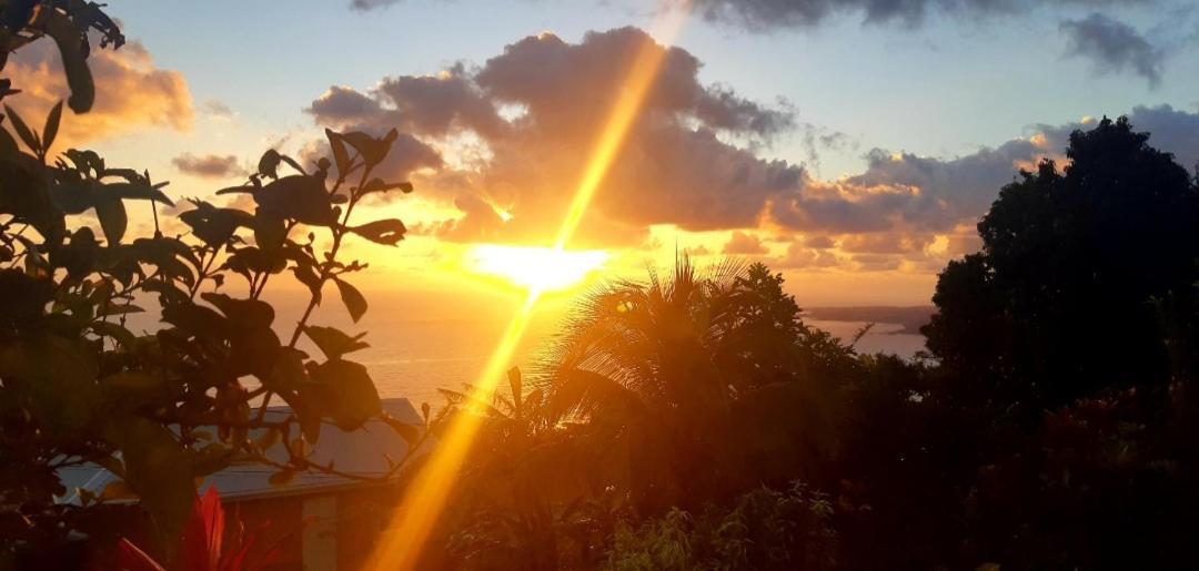 "Sunrise Inn" Nature Island Dominica Penville Eksteriør bilde