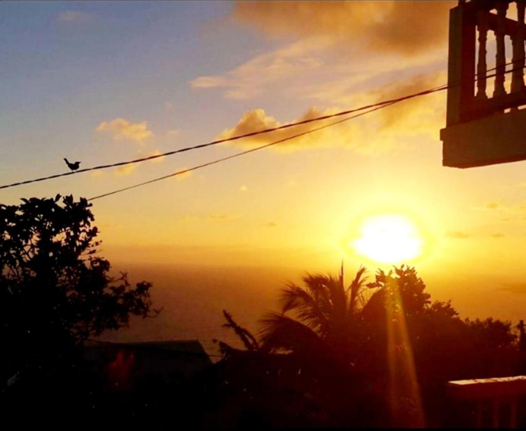 "Sunrise Inn" Nature Island Dominica Penville Eksteriør bilde