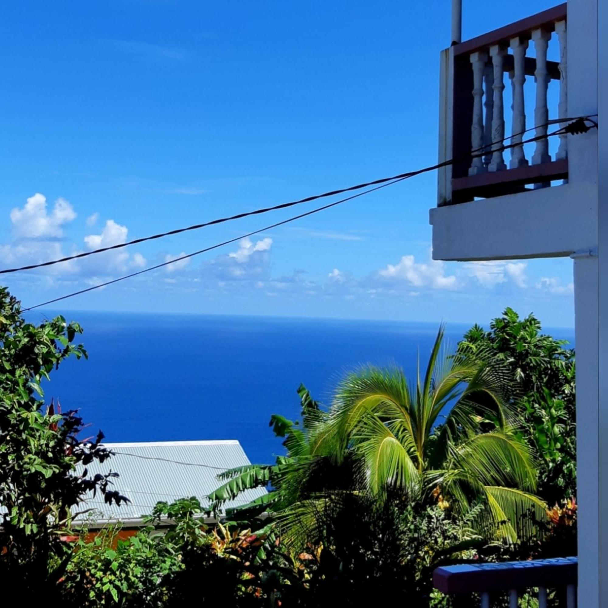 "Sunrise Inn" Nature Island Dominica Penville Eksteriør bilde